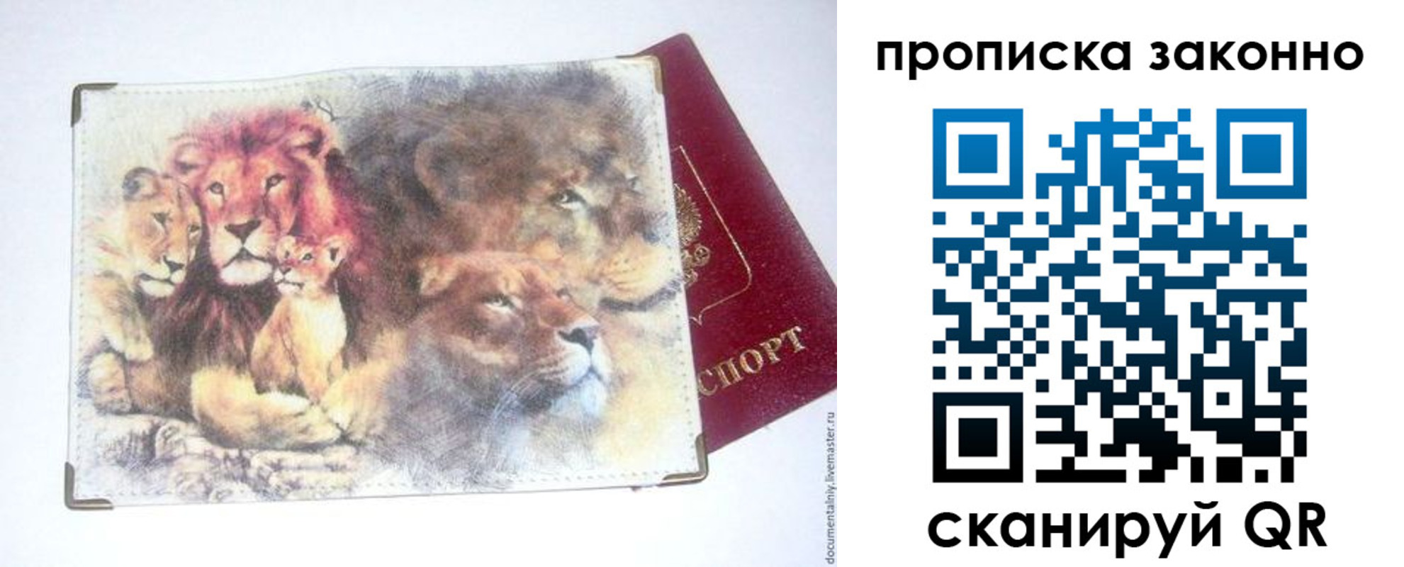 прописка от собственника в Оленегорске